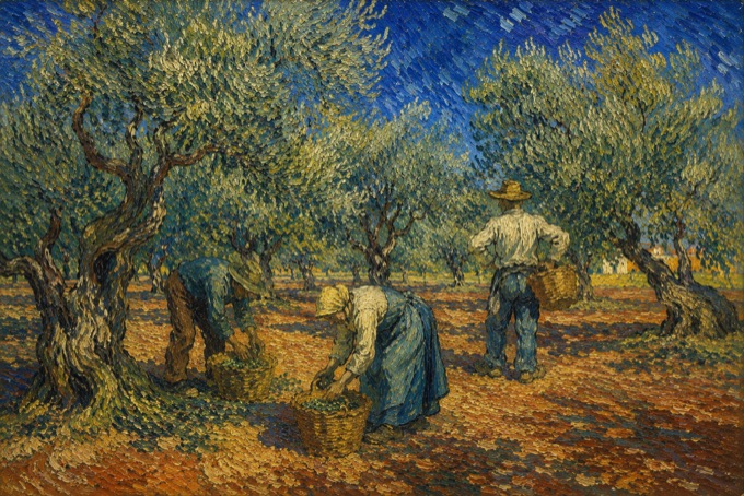 The Olive Harvest