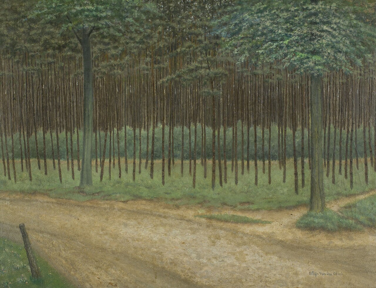 Forest Trail by Albijn Van den Abeele