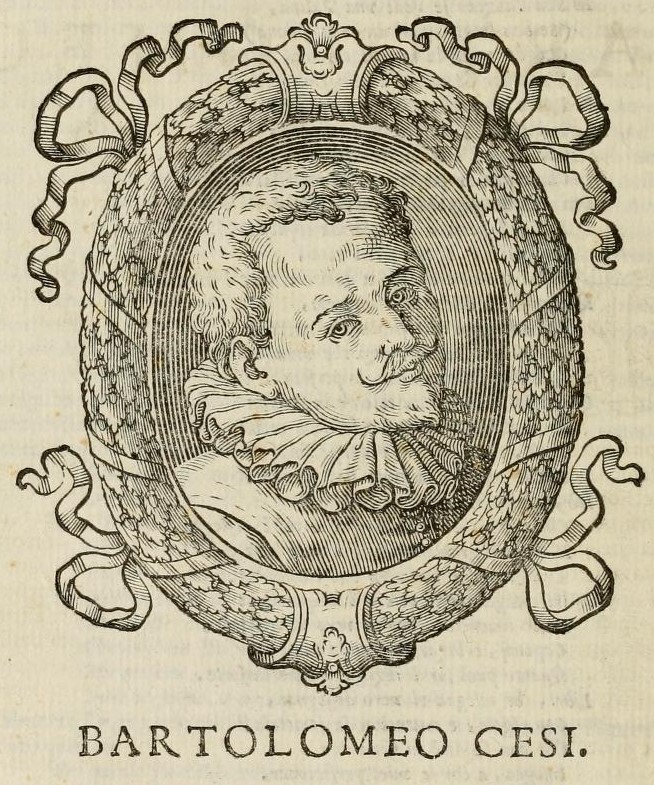 Portrait of Bartolomeo Cesi