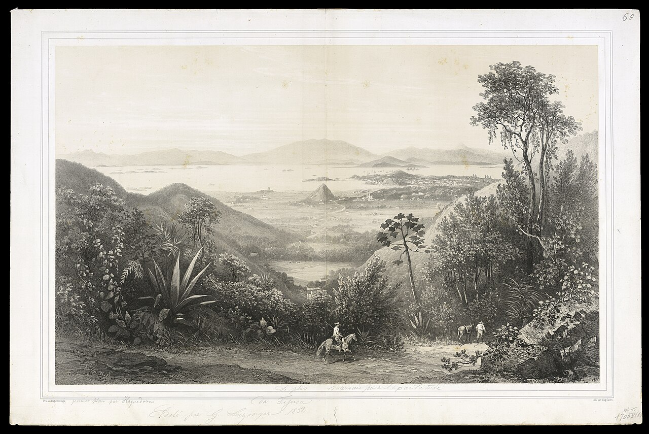 (Rio de Janeiro, tomado de Boa-vista da Tijuca) by Friedrich Hagedorn