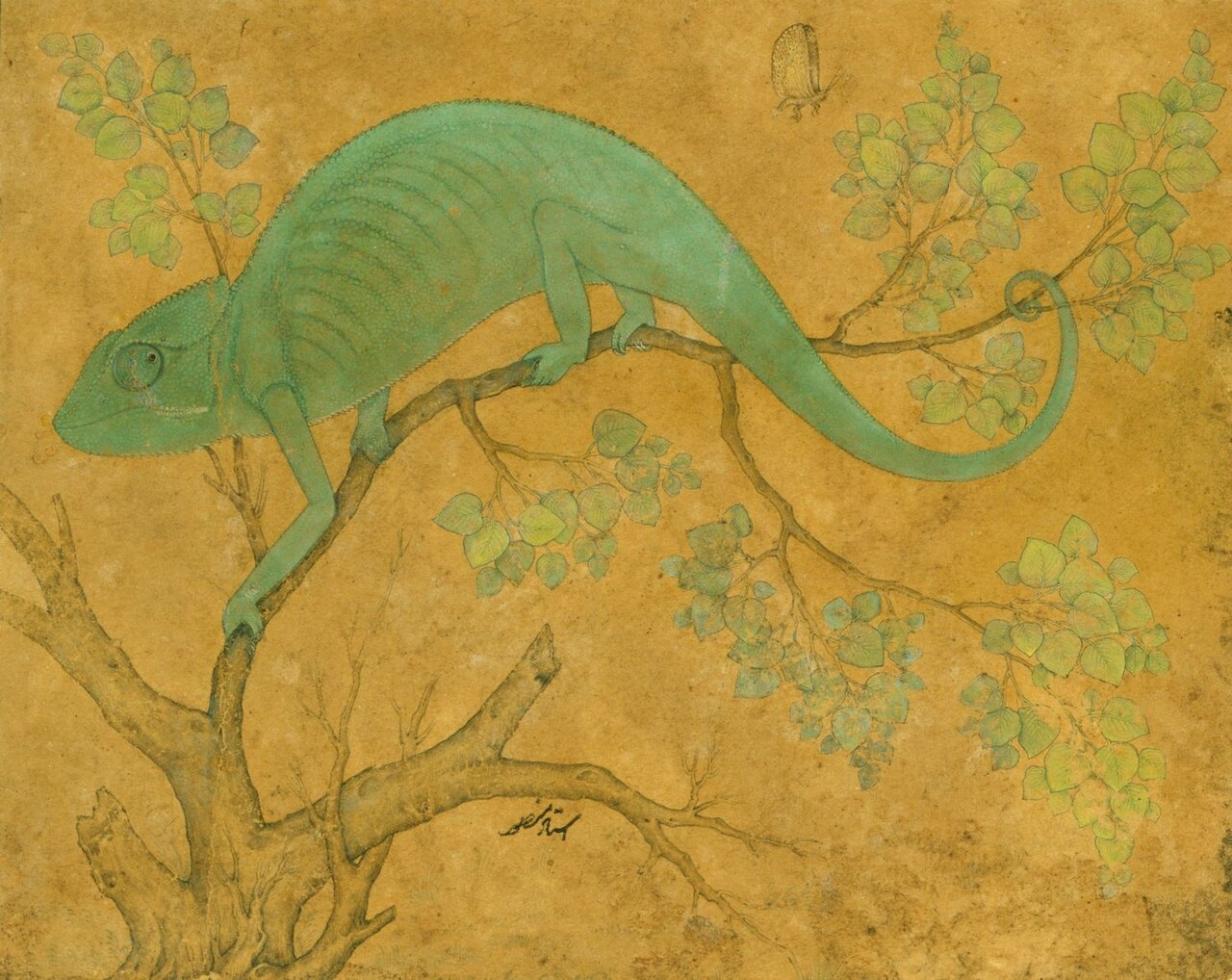 Portrait of Ustad Mansur